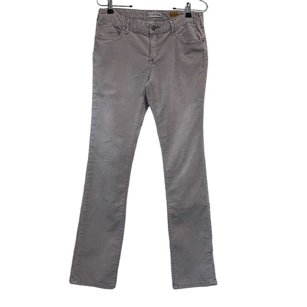Pilcro & the Letterpress Gray Lavender Purple Corduroy Pants Vintage Slim Sz 29
